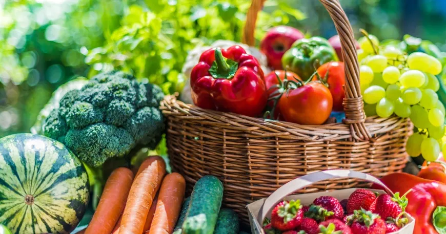 Plant-Based Diet: Tren Gaya Hidup Sehat yang Semakin Populer di Indonesia